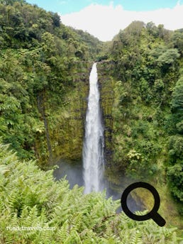 Akaka Falls State Park 