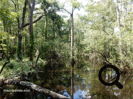 Moores Creek National Battlefield Park 