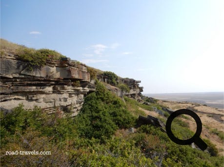 First People's Buffalo Jump State Park 