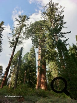 Kings Canyon National Park 