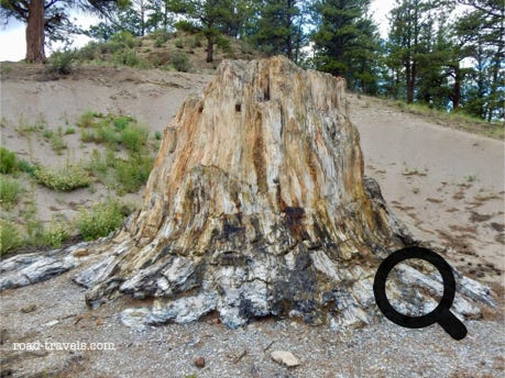 Florissant Fossil Beds National Monument 