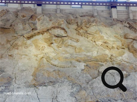 Dinosaur National Monument 