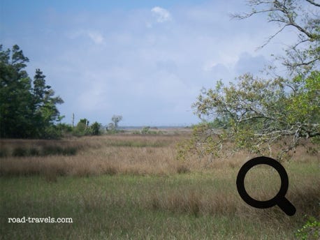 Gulf Islands National Seashore - Davis Bayou 
