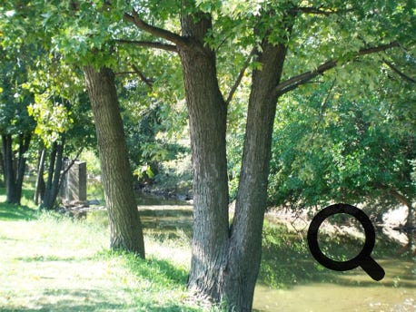 Illinois & Michigan Canal State Park 