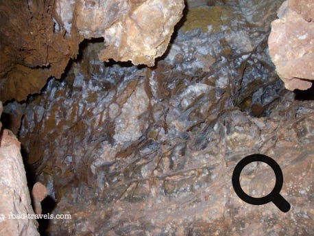 Wind Cave National Park 