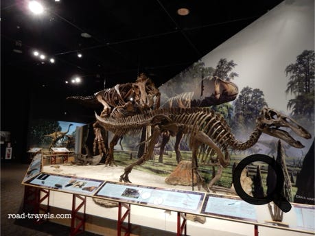 Fort Peck Interpretive Center 