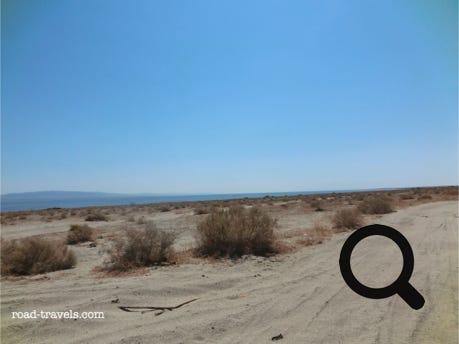 Salton Sea 