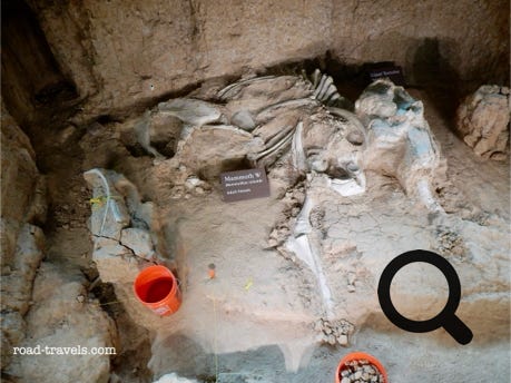 Waco Mammoth National Monument