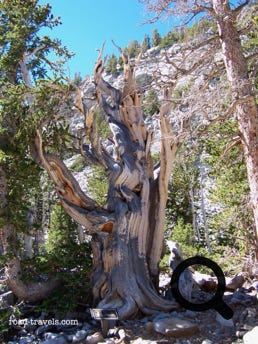Great Basin National Park 