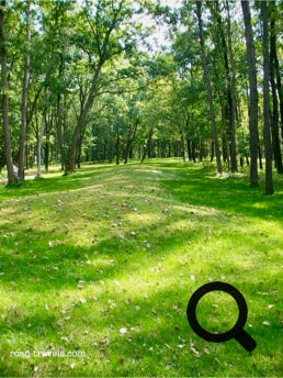 Effigy Mounds National Monument 